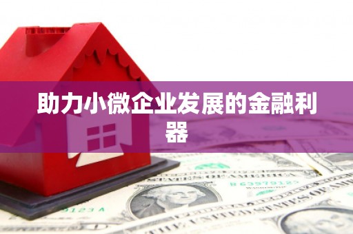硚口助力小微企业发展的金融利器