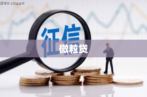 硚口微粒贷