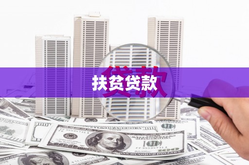 硚口扶贫贷款