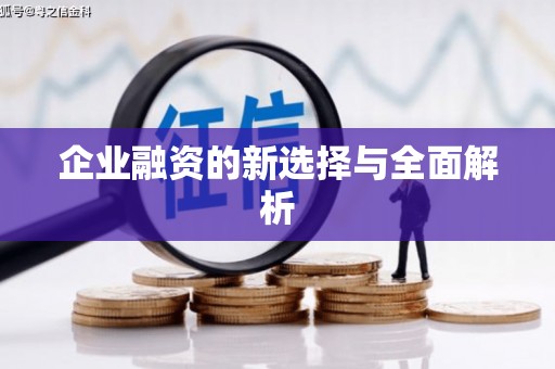 硚口企业融资的新选择与全面解析
