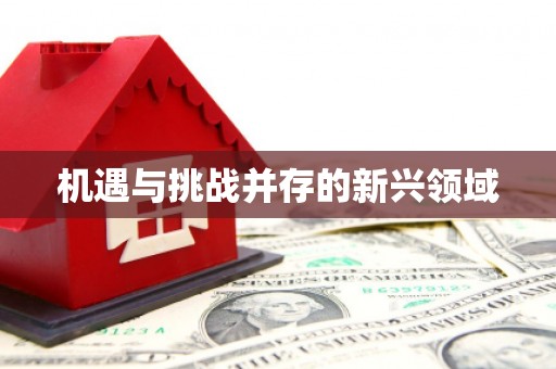 硚口机遇与挑战并存的新兴领域