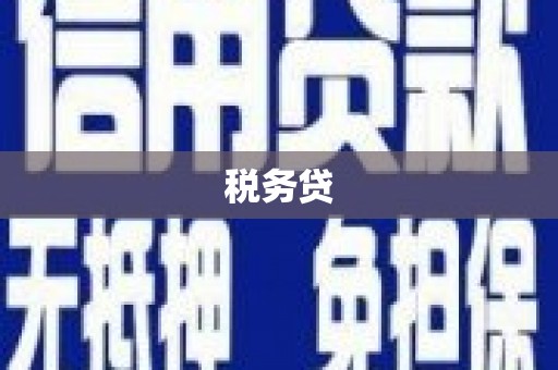 硚口税务贷