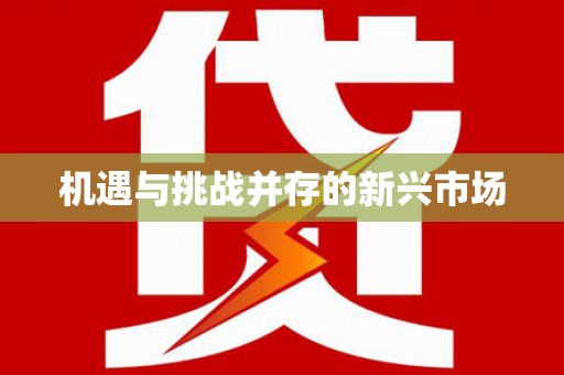 硚口机遇与挑战并存的新兴市场