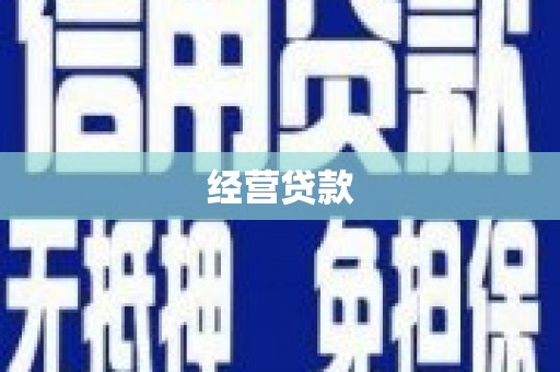 硚口经营贷款