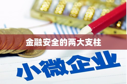 硚口金融安全的两大支柱