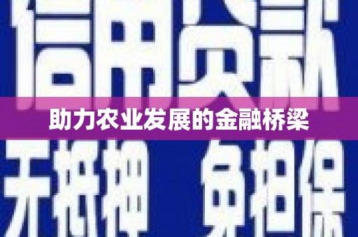硚口助力农业发展的金融桥梁