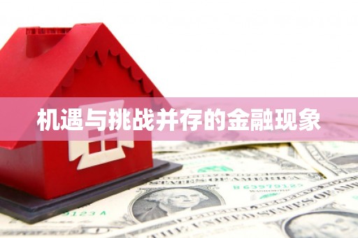 硚口机遇与挑战并存的金融现象