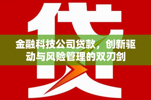 硚口金融科技公司贷款，创新驱动与风险管理的双刃剑