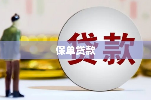 硚口保单贷款